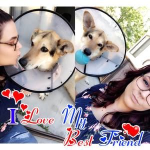 Meet your Posher, Raylene